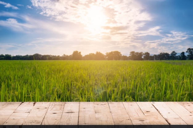 Tablero de madera frente y borrosa fondo campo de arroz de luz solar para los montajes de visualización de productos.