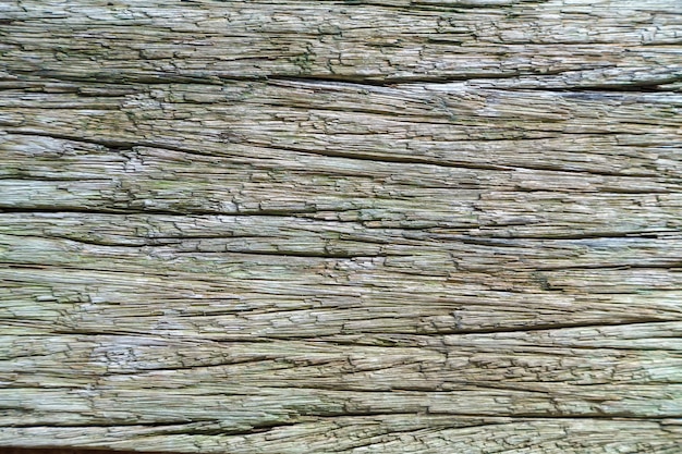 Tablero de madera vieja. Textura de un árbol descolorido