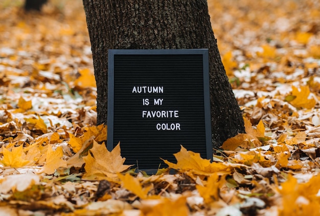 Tablero de mensajes de letras con texto otoño es mi color favorito citas de motivación de otoño