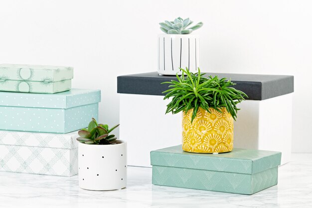 Foto tablero de mesa con cajas para arreglo, almacenamiento y plantas en macetas. concepto de hogar acogedor y confortable