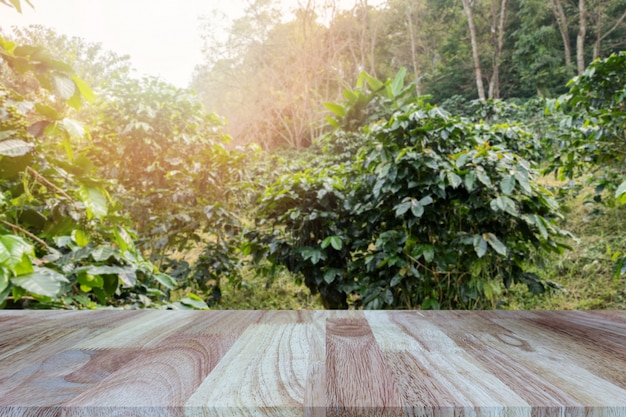 Tablero de la mesa de madera sobre fondo de plantaciones de café borrosa.