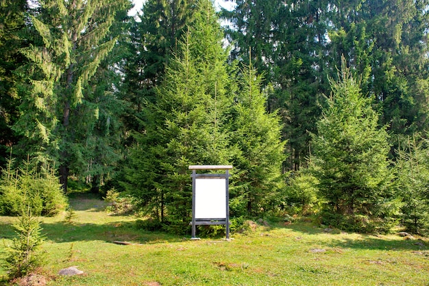 Tablero de la muestra en blanco blanco en el parque verde