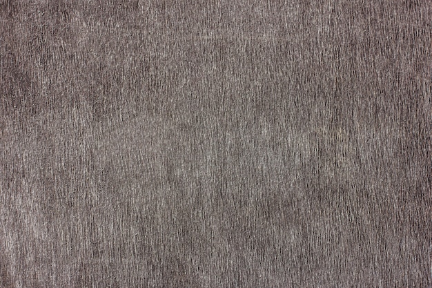 Tablero de textura natural gris - un fondo de madera