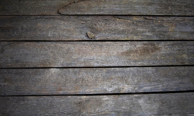 Tableros de madera gris con tornillos.