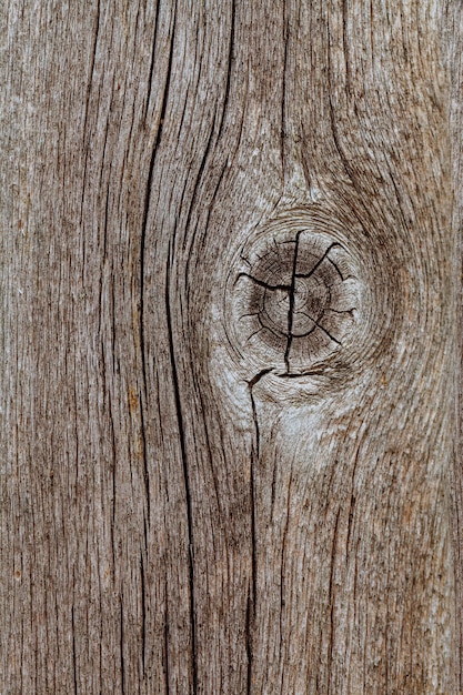 Tableros de madera con textura como fondo claro