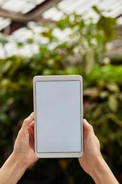 Tablet digital com tela em branco realizada pelo jovem gerente da grande fazenda moderna em frente ao canteiro de flores com plantas verdes