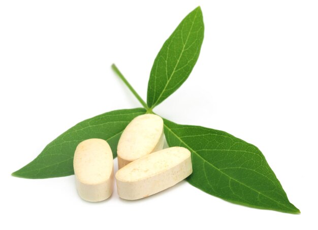 Tabletten mit Vitex Negundo oder medizinischen Nishinda-Blättern