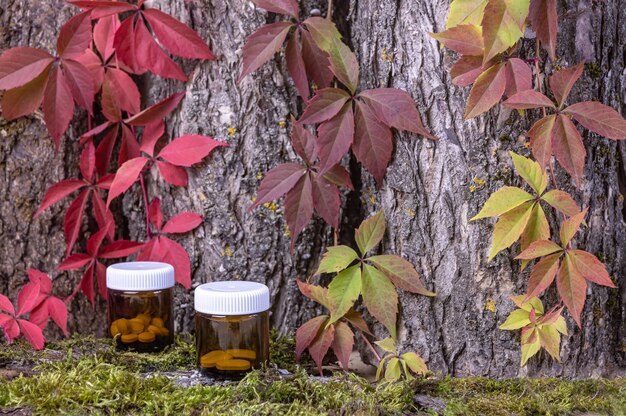 Tabletten und organische Vitaminpräparate in Gläsern auf dem Hintergrund einer Baumrinde mit rotem Blatt