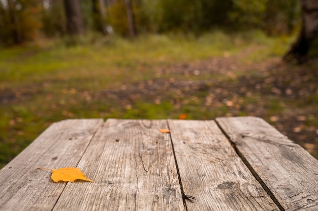 Tablón de madera mesa vacía en otoño desenfoque de fondo, espacio para texto. Foto de alta calidad