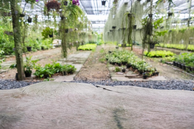 Tablón de madera en planta ornamental