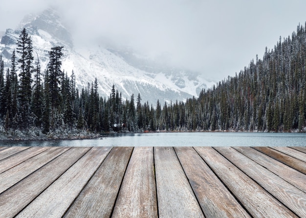 Tablón de madera vacía en nevado borrosa en bosque de pinos con montañas rocosas en el lago O'hara en el parque nacional Yoho