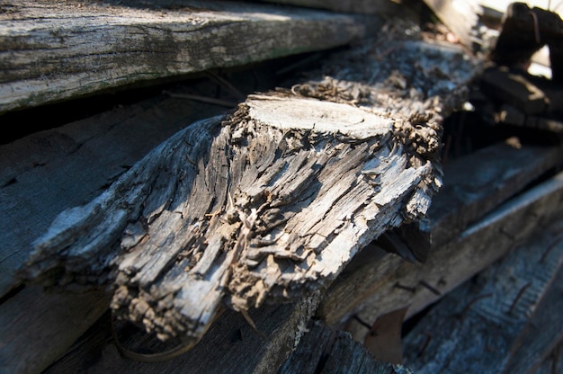 Tablones de madera viejos