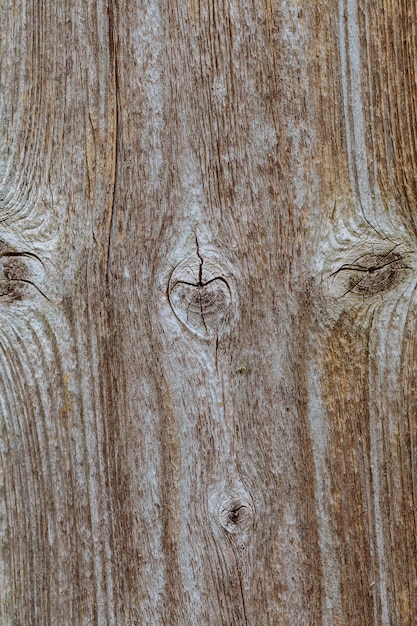 Tábuas de madeira com textura como plano de fundo claro