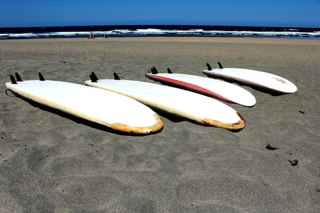 Tábuas de surf na praia contra o céu