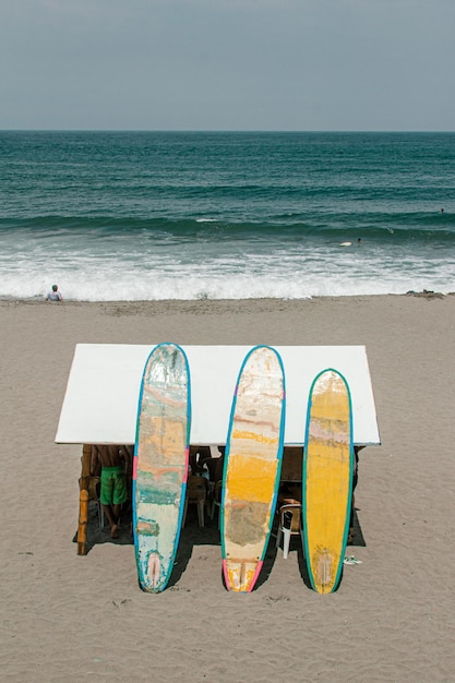 Tábuas de surf para venda na praia