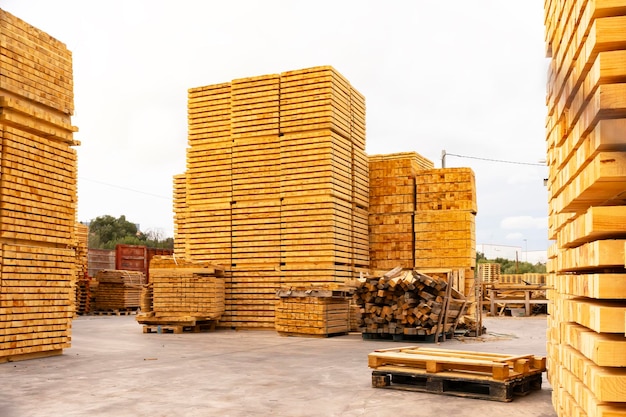 Tábuas recém-serradas Paletes No território da fábrica de madeira Processamento industrial da madeira
