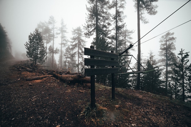 Foto tabuleta na estrada na floresta