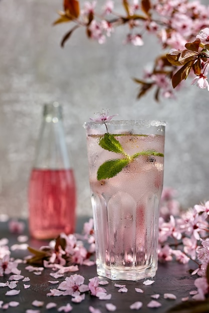 Taça de champanhe rosa rosa com gelo e hortelã. Ramos de cerejeira em flor acima e flores de cerejeira espalhadas