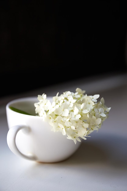 Tacita con pequeña hortensia blanca