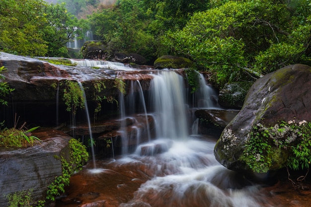 Tad-Wiman-Thip-Wasserfall, schöner Wasserfall in Bung-Kan-Provinz, ThaiLand.