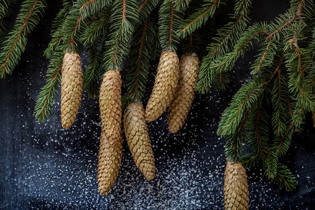 Tafel und Tannenzweige mit Zapfen auf einem Hintergrund - Weihnachten