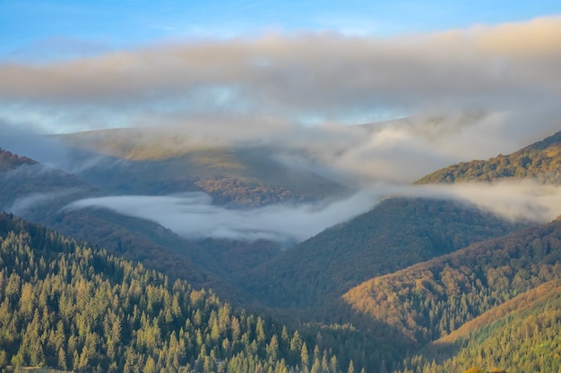 Tagesnebel über den bewaldeten ukrainischen Karpaten