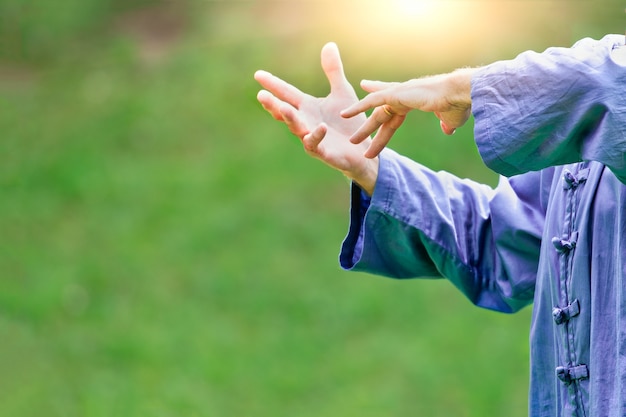 Foto tai chi chuan. arte marcial chino