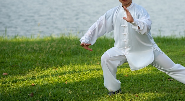 Tai Chi Chuan Master übergibt Haltungstraining im Park