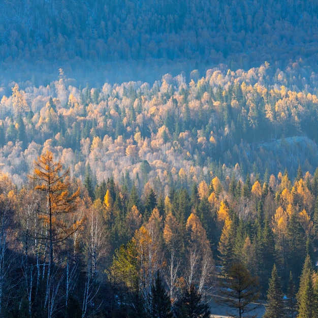 Taiga-Berg in Sibirien, Morgenlicht, Herbstansicht
