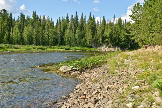 Taiga-Fluss im nördlichen Ural