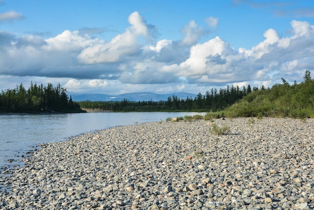 Taiga-Fluss im Sommer im Polarural