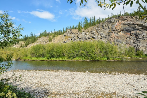 Taiga-Fluss in der Republik Komi