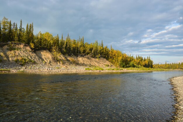 Taiga-Fluss