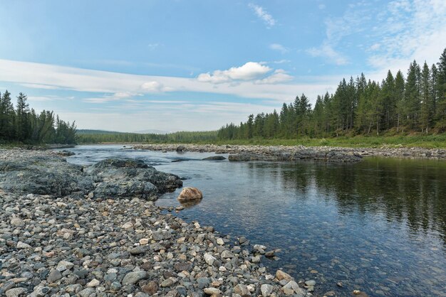 Taiga-Fluss