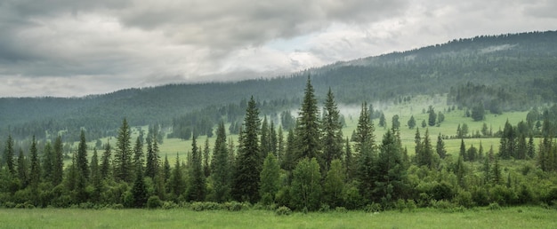 Taiga de montaña, un lugar salvaje en Siberia, bosque de coníferas, vista panorámica