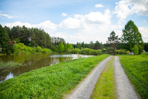 Taiga zaimka im wald im sommer sibirien russland