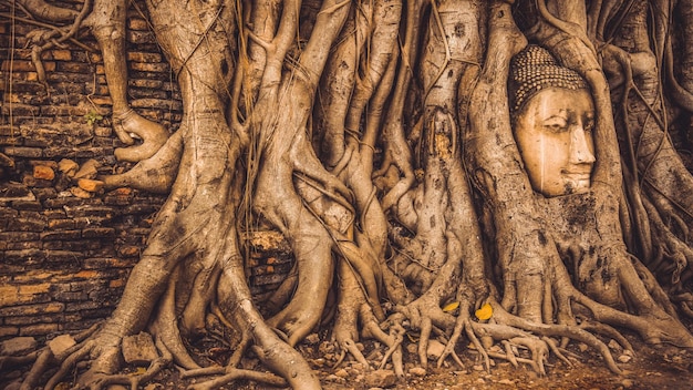 TAILÂNDIA Ruínas e antiguidades no Parque Histórico de Ayutthaya Turistas de todo o mundo decadência de Buda