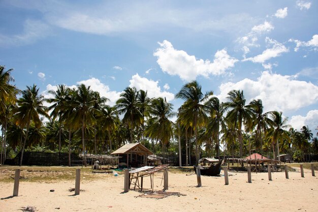 Los tailandeses hicieron sol pescado seco para conservas de alimentos en el tamiz de alambre al aire libre de la playa y el pueblo de Boynton en Narathiwat Tailandia