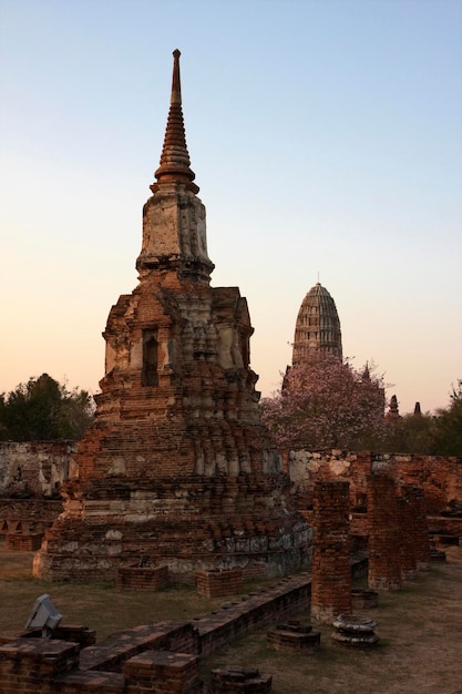 TAILANDIA, AYUTTHAYA, templos antiguos