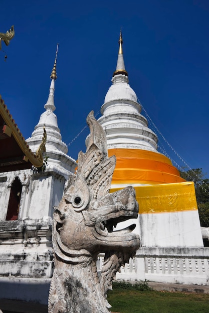 Tailândia, Chiang Mai, Phra Singh Temple (Wat Phra Singh), estátua do dragão