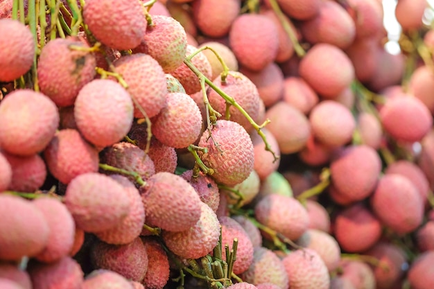 Tailândia frutas lichias frescas