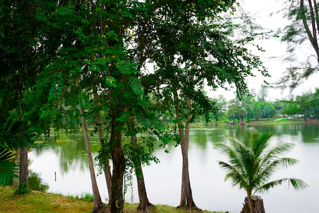 Tailândia Ilha de Phuket área da lagoa natureza e casas praia e mar