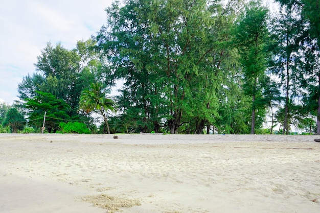 Tailândia Ilha de Phuket área da lagoa natureza e casas praia e mar