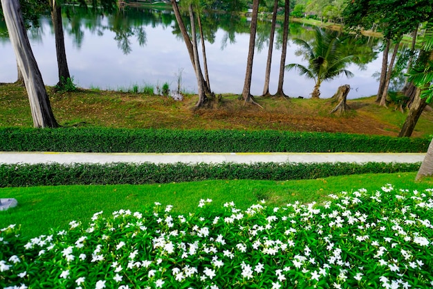 Tailandia Área de la laguna de la isla de Phuket naturaleza y casas playa y mar