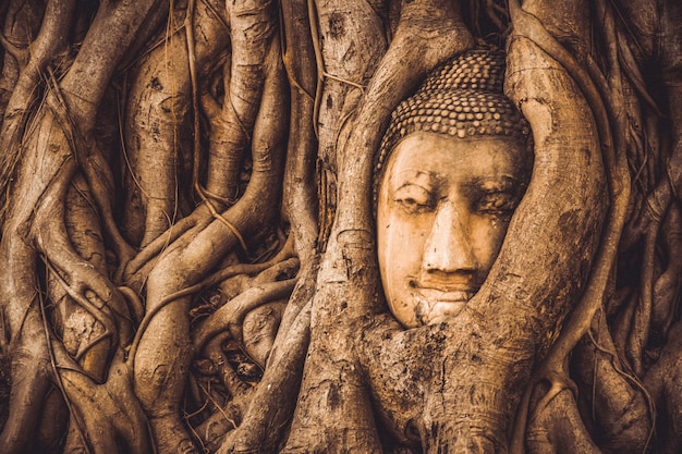 TAILANDIA Ruinas y antigüedades en el parque histórico de Ayutthaya Turistas de todo el mundo Decadencia de Buda