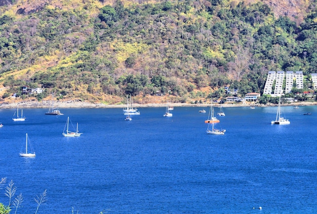 Tailandia viaja al mar azul y las palmeras ven el paraíso tropical