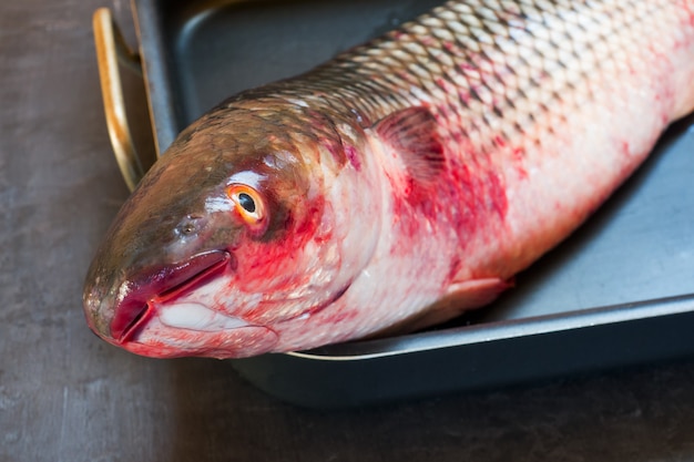 Tainha fresca de peixe cru em preto