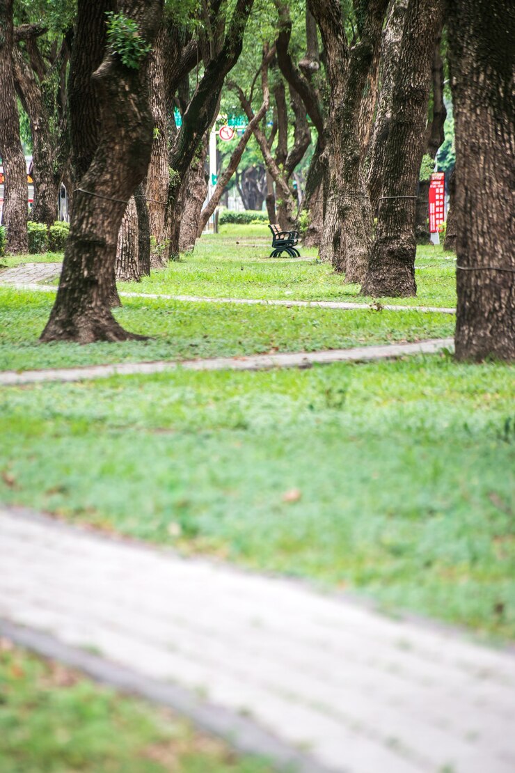 Taipei, Taiwán - 18 de junio de 2018: Parque, una silla en el parque, relajante, árboles de Banyan en Dunhua Road, Taipei. sintiendo calma