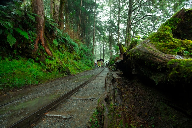 Taiwan, Yilan County, Taiping Mountain, Jianqing Old Road, berühmt, Touristenattraktion