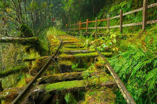 Taiwan, Yilan County, Taiping Mountain, Jianqing Old Road, berühmt, Touristenattraktion